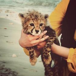 adorable; i want one. :)