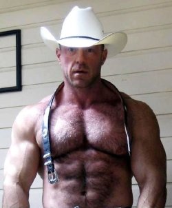 Howdy!