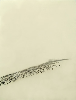 mythologyofblue:     Greg Eason, Disappearing Penguins, 2010, pencil on paper    (iconicimage) 