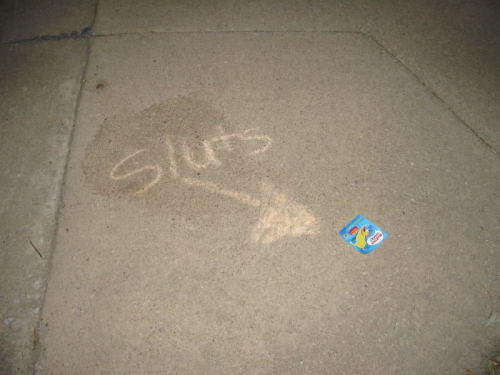 good afternoon  this is a photo i took of my driveway. one day i walked out and this was there. i dont even know why but it was nice
