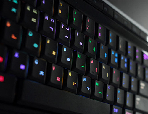 spurples: (via ohsnapitshaley, jablonski)
