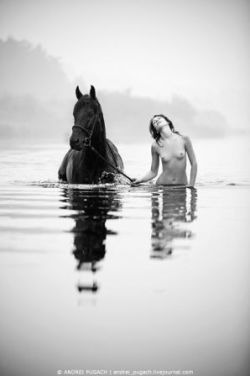 nothinglikeabitoftitinbnw:  ricola71:  horsesmanandladies: