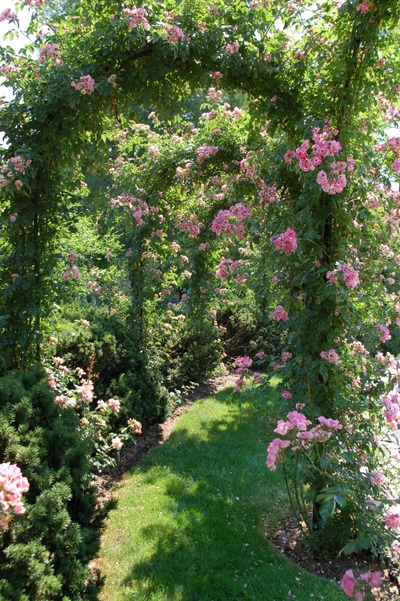 vintagerosegarden:Ledge and Gardens: Lushness at Longwood!