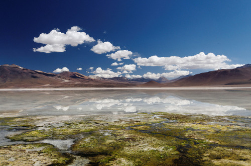 Altiplano: lagoon reflections (by Mike Green)