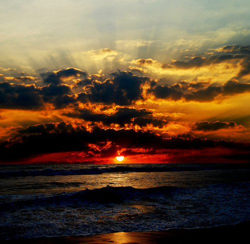 (via wbotd)
