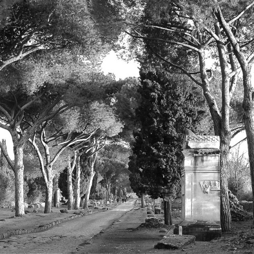 black-and-white:  I still miss Rome… .2. (by yulia strelkova) 