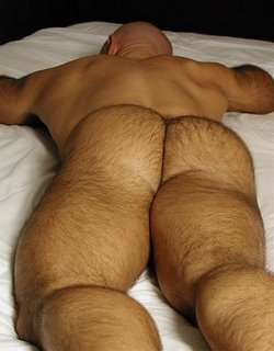 penisgenius:  bubblebutts:  guysidlk2fk:  (via pumpkindred)   Beefy butt!