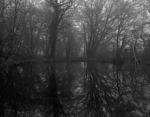 laudanumandarsenic:  deepdarkwoods:(via theblackhammer, shutmyeyes) 