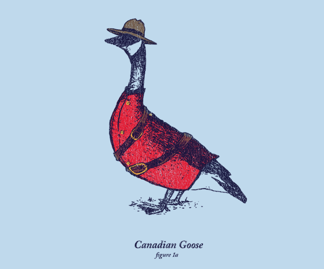 What are you talking aboot? It’s a real Canadian Goose silly!
Buy this humorous creation by David Schwen at Threadless for $18!
Canadian Goose by David Schwen / DSchwen (Flickr) (Behance)