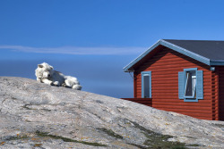 kari-shma:  Few things you need to know about Ilulissat - Two (by ColBacco) 