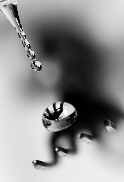 black-and-white:  fork drop 