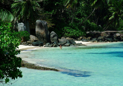 nirvana-tropics:  (via tropicri, -cityoflove)  ❁❁ Calm and relaxing jungle blog ❁❁
