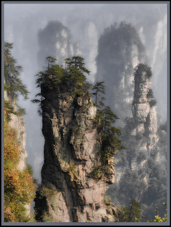 rim-runner:  mandrag:  mysticm: China Mountain Zhang 