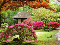 deerlike:  ohmygardens:  happythings:  -cityoflove: Japanese Garden, Clingendael, Netherlands   