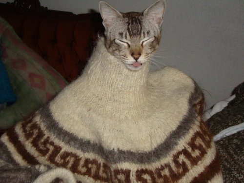 (via helenofdestroy, asterisk-)