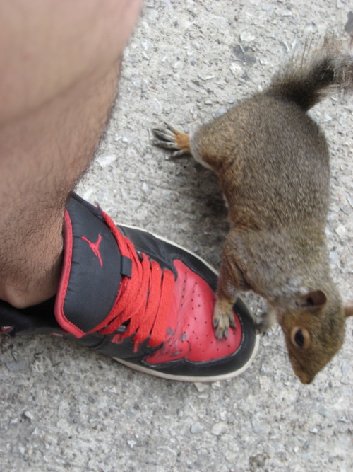 This little guy was a little too friendly. Climbed my leg twice and managed to sneak just one shot o