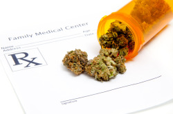 jenniferkelmar:  Medical Marijuana: Health