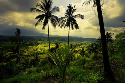 Tirtagangga, Bali, Indonesia © Aurélien