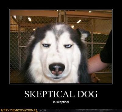 This is super hilarious. Hahahahahahaahahahahahahahahahahahha. I want this dog!