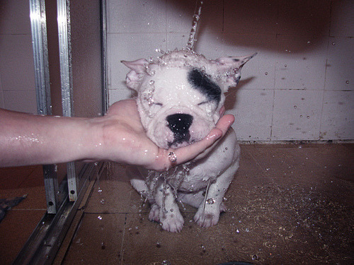 sooooooo adorable.