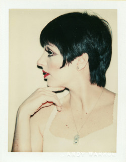 Liza Minnelli by Andy Warhol