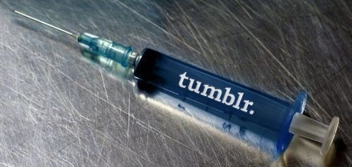 Tumblr media