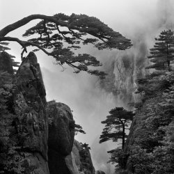 landscapelifescape:  Huang Shan, Anhui Province,