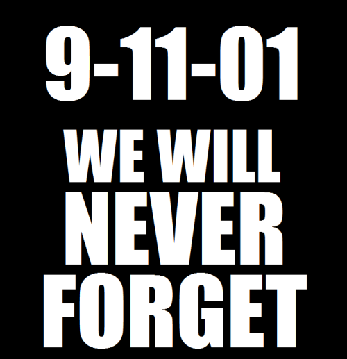 fuckyeahappycat:  Tomorrow is 9/11. It was 9 years ago tomorrow that the twin towers in New York city were struck by terrorists. We lost many proud Americans that day. We will never forget.  