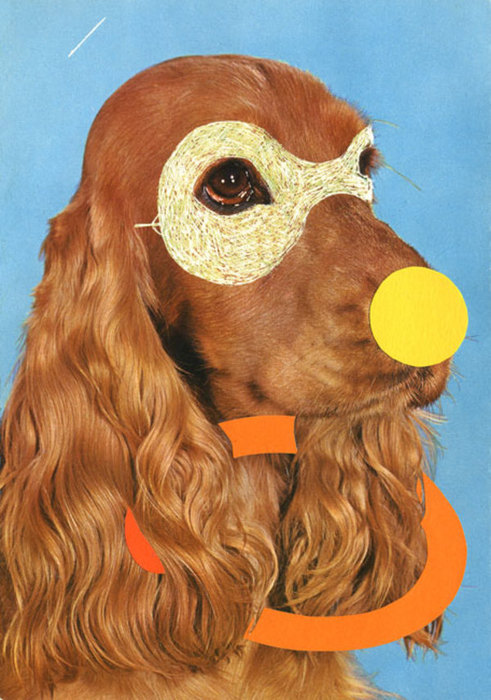 yayeveryday: Valero Doval - Circus Pets