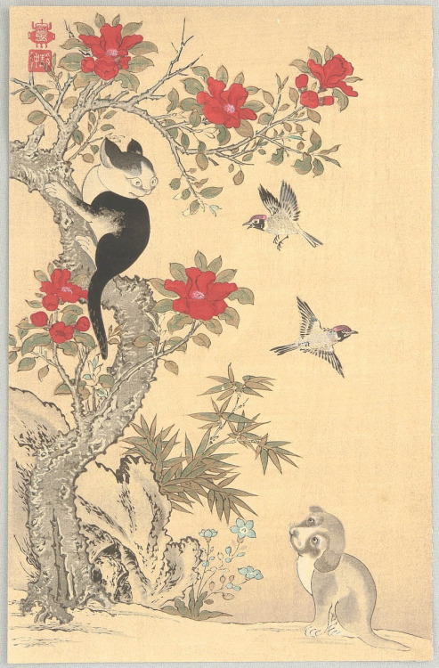 hagakure-kurenai:ajourneyroundmyskull:Jakuchu Ito 1715-1800 - Birds, Cat and Dog (print, 1900-ish). 