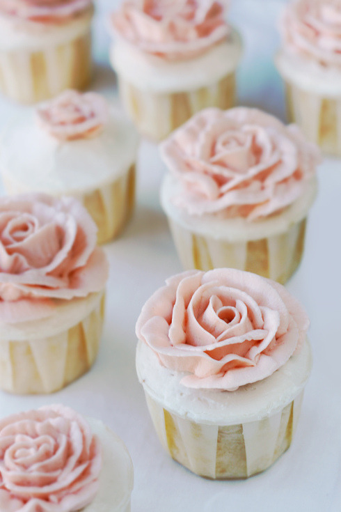 milk & roses