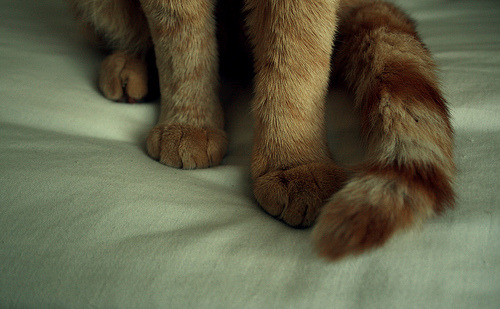 Hello!