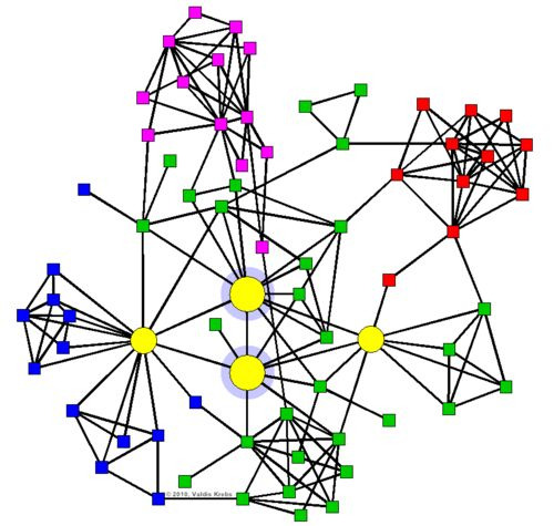 @orgnet profile graph