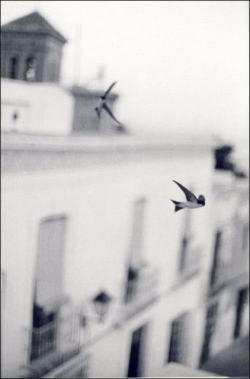 lushlight:  yama-bato:   Bernard Plossu   This is almost too beautiful-    me oh my learning to fly!