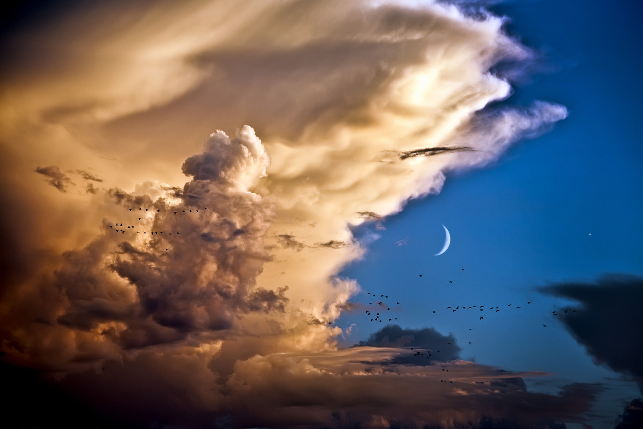 “Moon, Stars, Birds, Venus. APOD.
”
(from keepyourpebbles)