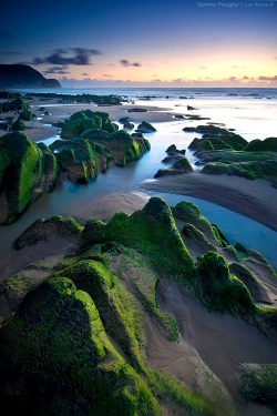 catcanhazblog:  landscapelifescape:  Praia