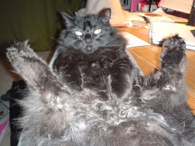 Zas! Baidefeis presenta…Me va acome to lo negro.