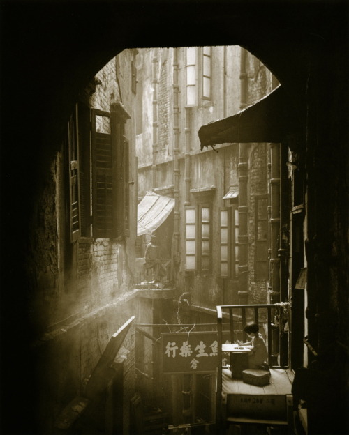 crashinglybeautiful:  Fan Ho Her Study, 1963 From Hong Kong Yesterday. Courtesy of liquidnight. 