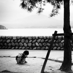 theantidote:  miyajima is a magical playground