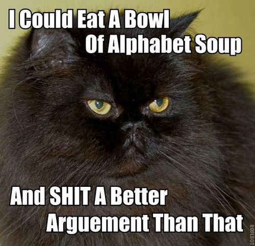 alyssaarizona:  alizaohtwss:  fiercehipsterocity:  insearchofaremedy- | delusionsofacatlady
