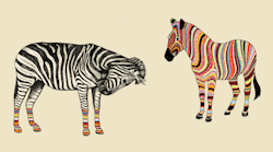 &ldquo;Zebras&rdquo;