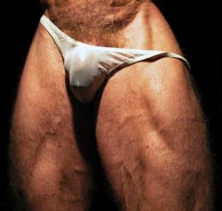 thongedhunks:  German. Hairy. Hung. Hot. 