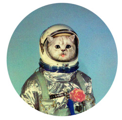 crucioyourface:  astro-cat.   he&rsquo;s a national hero