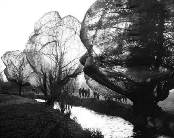 Wolfgang Volz
Christo and Jeanne-Claude, Wrapped Trees,
Fondation Beyeler and Berower Park, Riehen, Switzerland 1997-1998