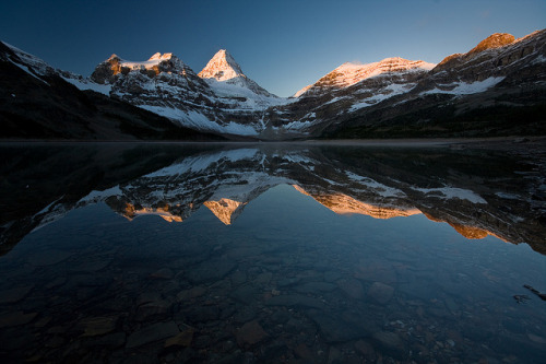 Reflection of the Assiniboine mastif in Magog Lake, Mount Assiniboine Provincial Park, British Colum