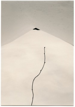 artemisdreaming:  Masao Yamamoto 