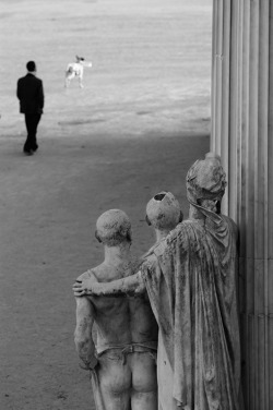 rurik-dmitrienko:  Jardin des Tuileries Paris