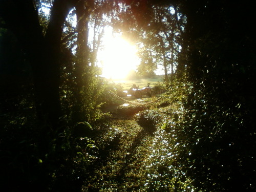 This is the back yard at my grandma’s house, talk about i’m lucky for getting to play back here as a kid. Perfect place to use your imaginantion lolol