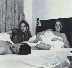 Sofia Coppola, Zoe Cassavetes &Amp;Amp; Donovan Leitch Photographed By Michel Comte