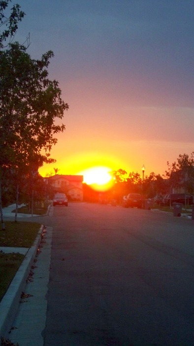  walking to school from my cousin&rsquo;s house&hellip;the sky was purple,